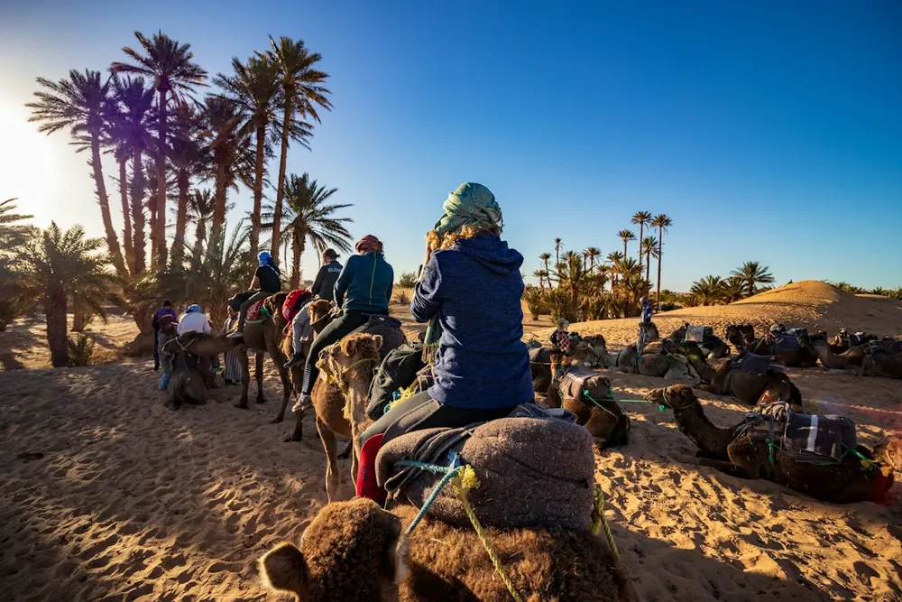 Travellers riding camels towards a desert camp