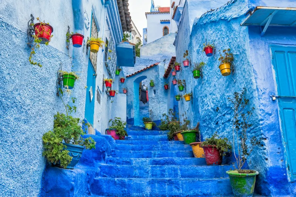 Colourful flower pots on a blue Chefchaouen street
