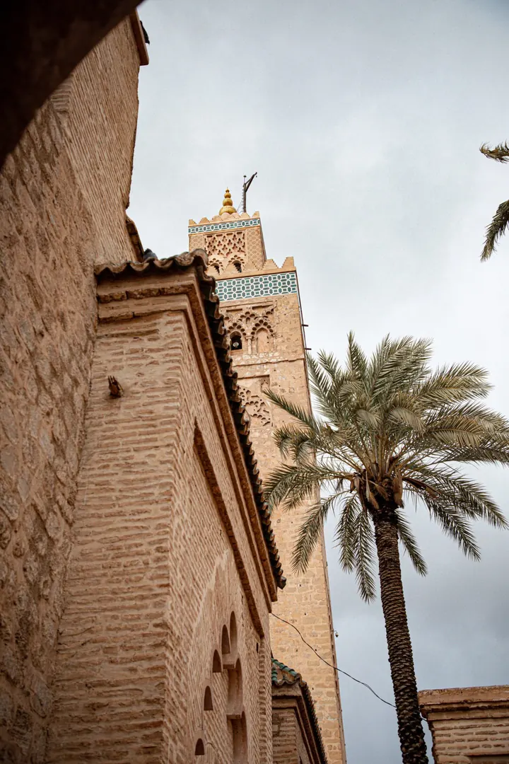 Minaret framed by palm trees