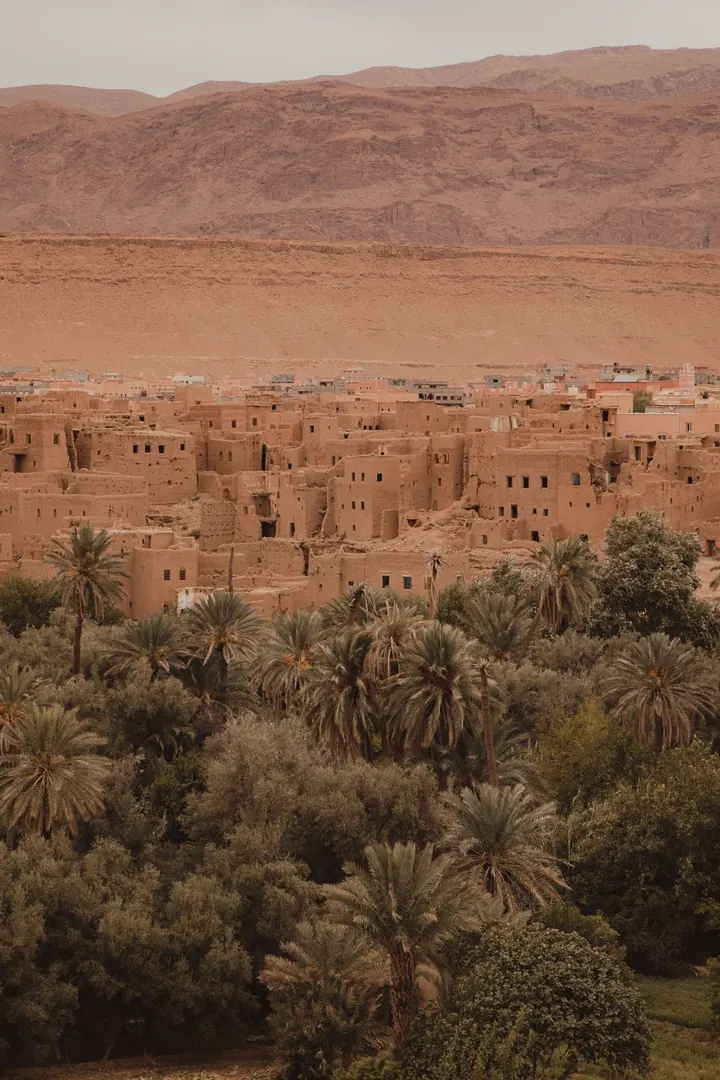 Palm oasis below the mountains