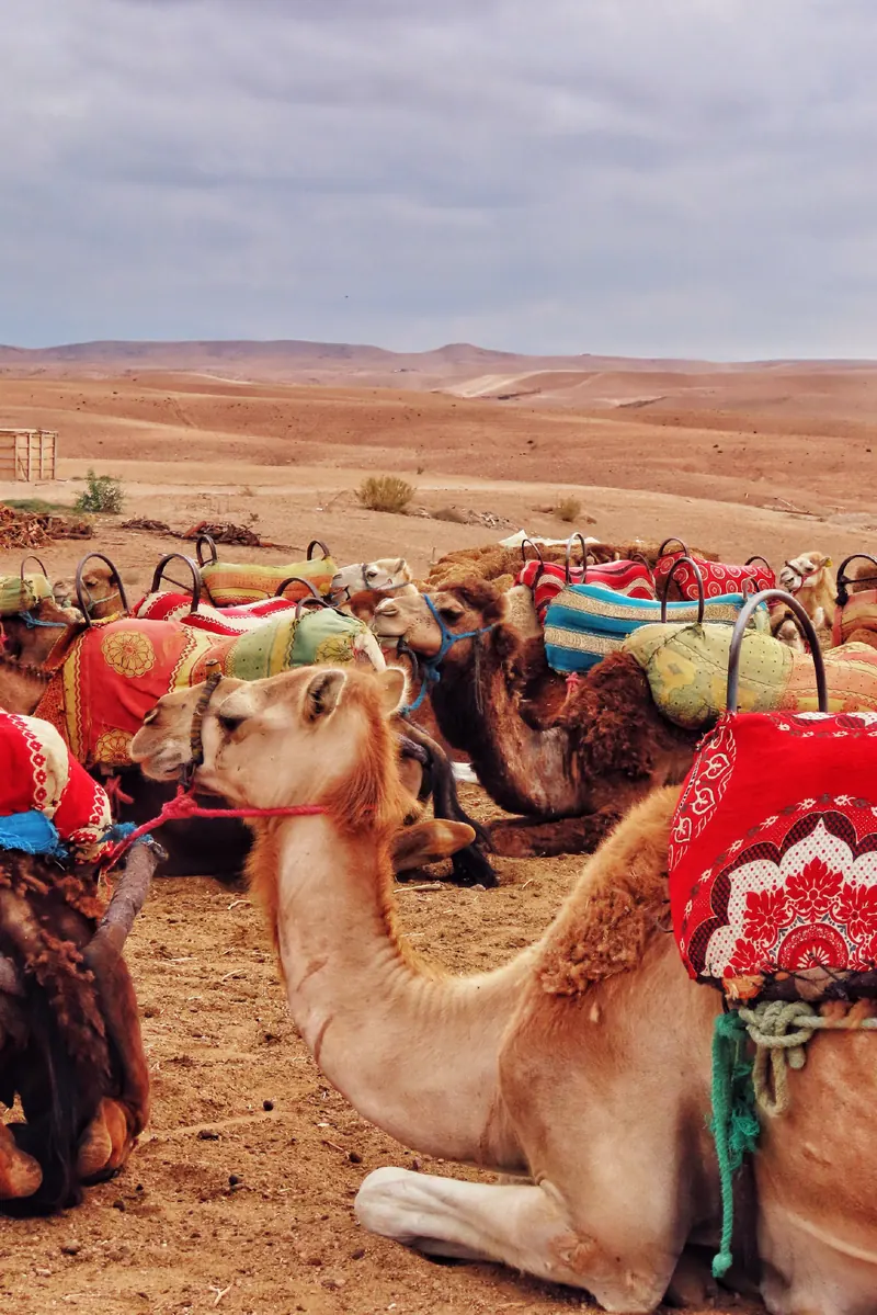صحراء أكفاي، صورة 2