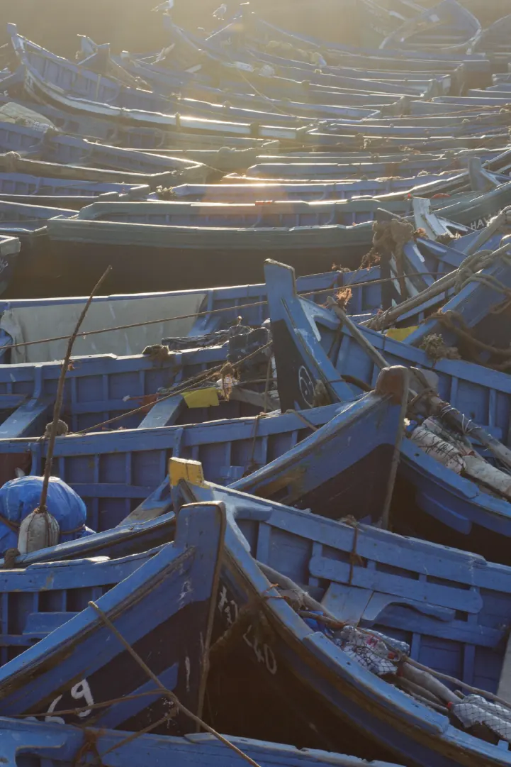 Essaouira, photo 7