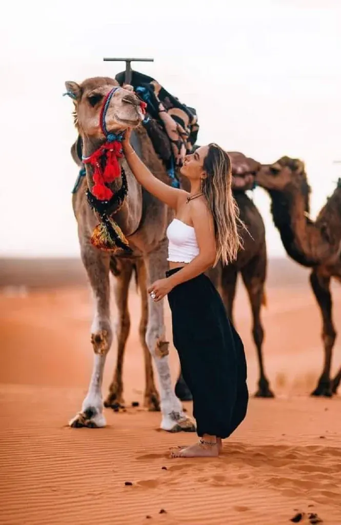 Camel Ride