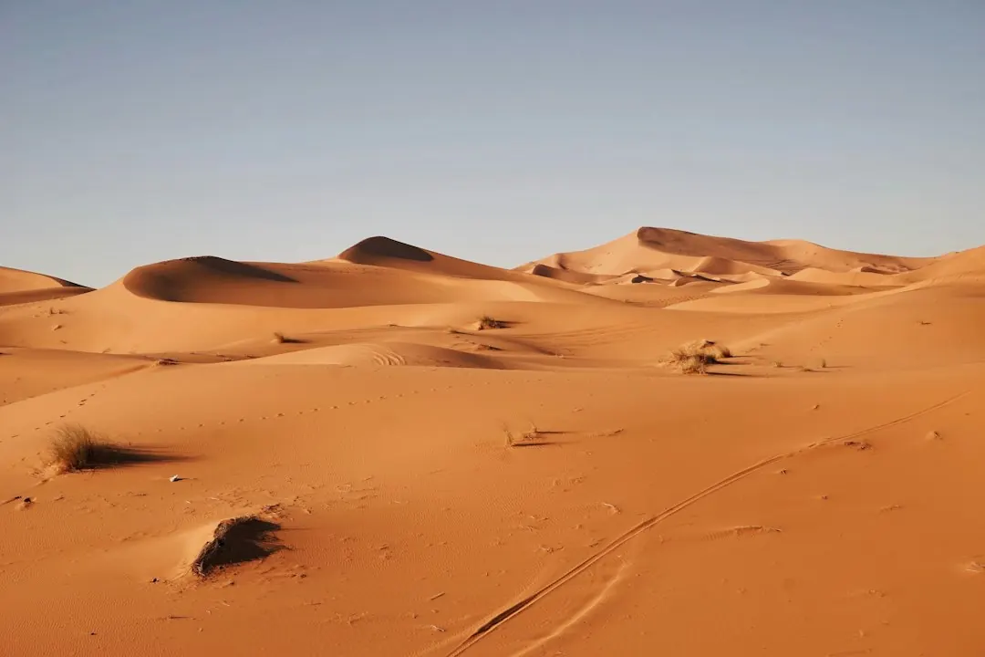 Luxury Desert Safaris in Morocco: 2026 Review, Pros & Cons
