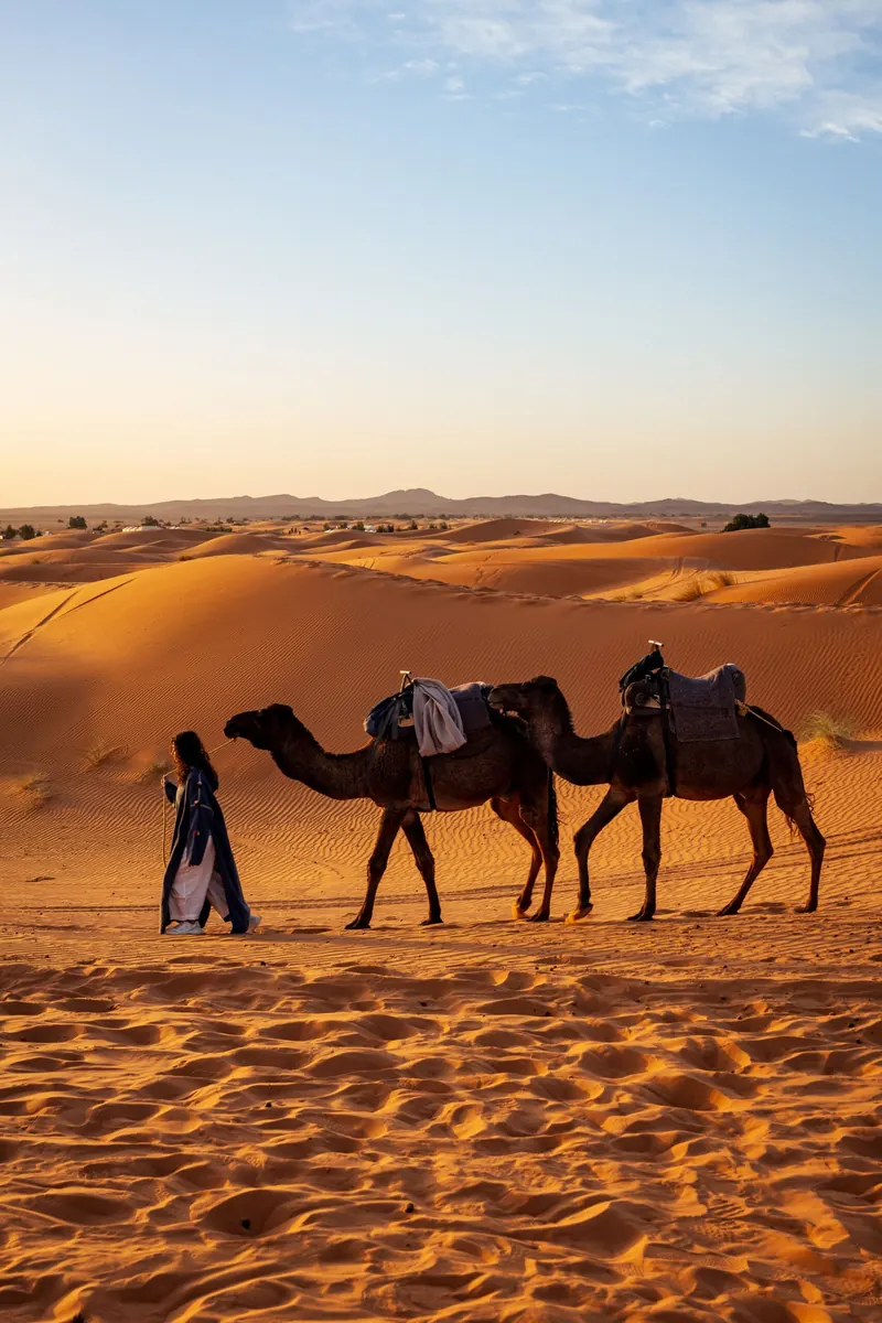 Camel Ride