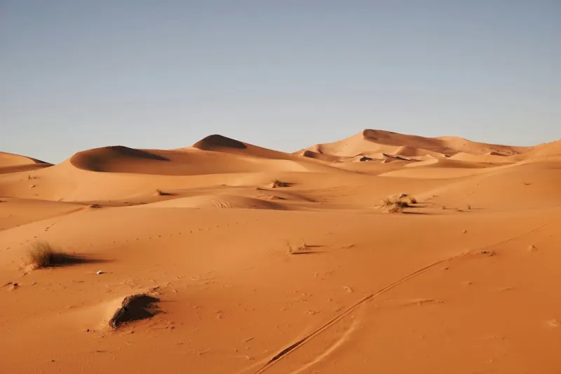 Desert Tour from Fes to Marrakech