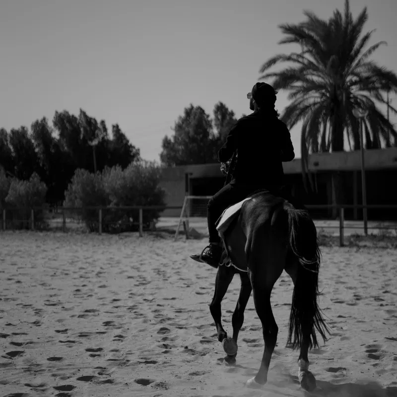 Horseback riding