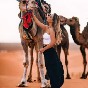 Camel ride